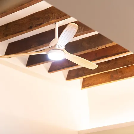 La Casa De Flores Alicante